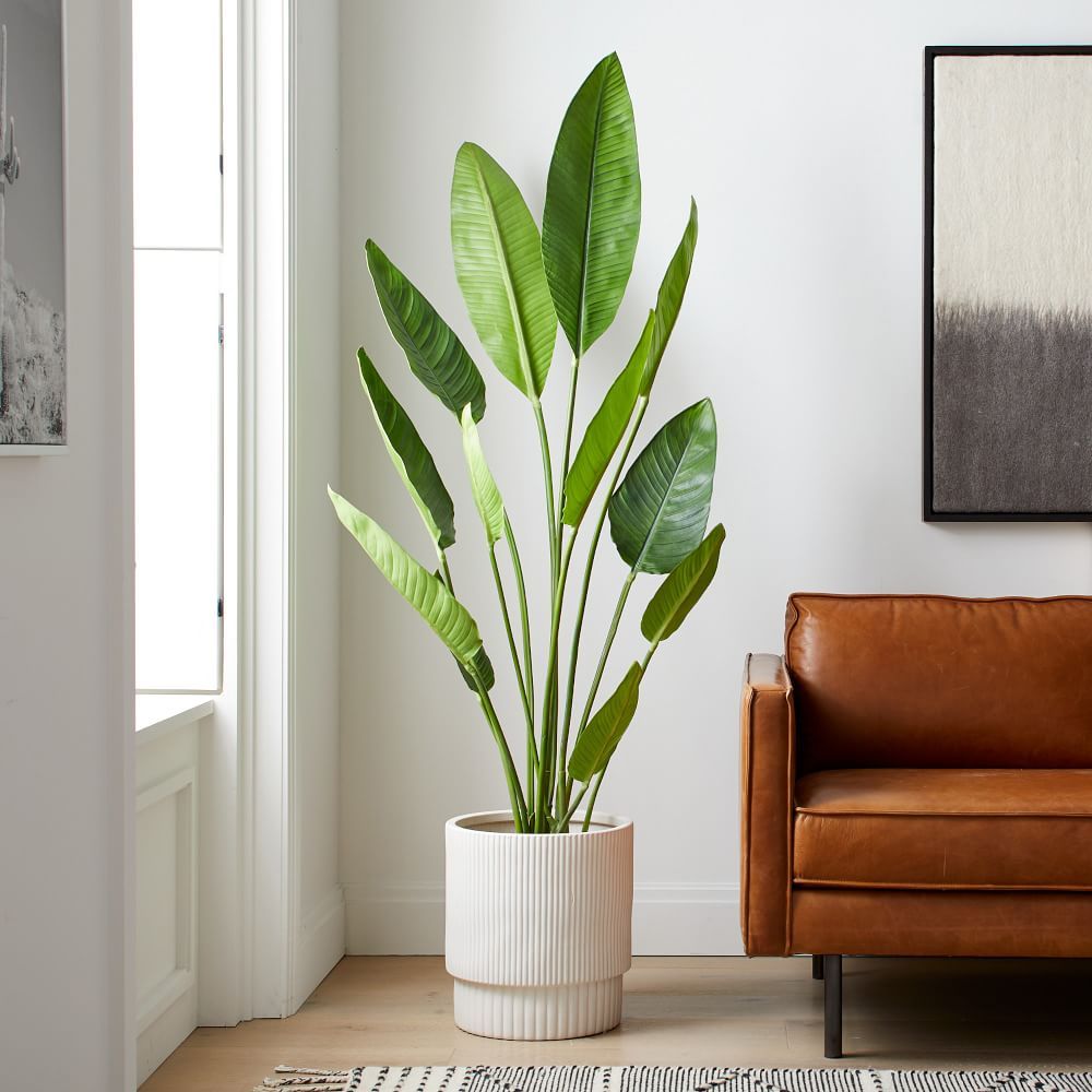 Faux Potted Bird of Paradise Plant | West Elm (US)