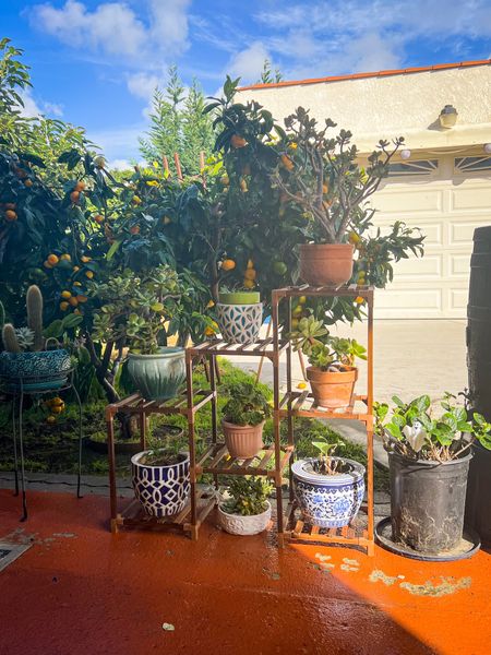 Patio plants organized 
#plants #garden #patiodecor #homeorganization #organize #organization 

#LTKhome