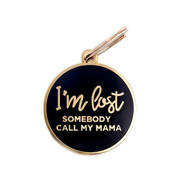 TWO TAILS PET COMPANY Personalized I'm Lost Dog & Cat ID Tag, Navy - Chewy.com | Chewy.com