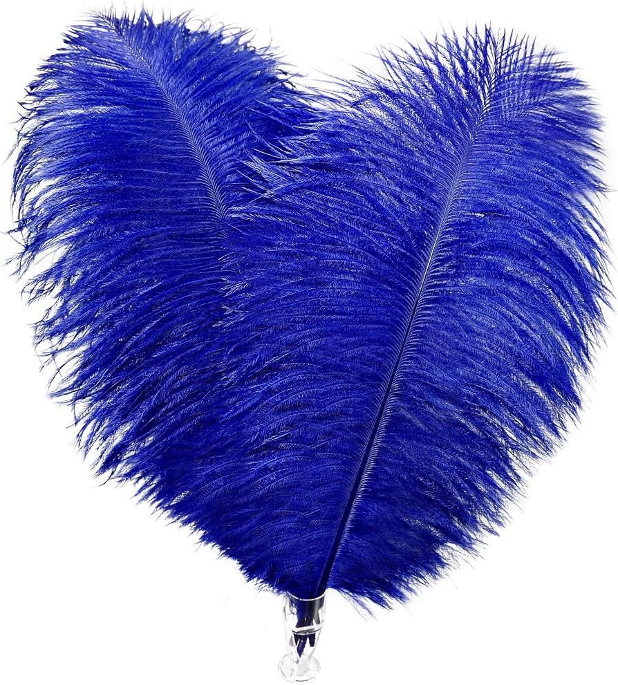 Soarer Royal Blue Ostrich Feathers - 30pcs 8-10inch for Wedding Party Centerpieces,Home Decoratio... | Amazon (US)