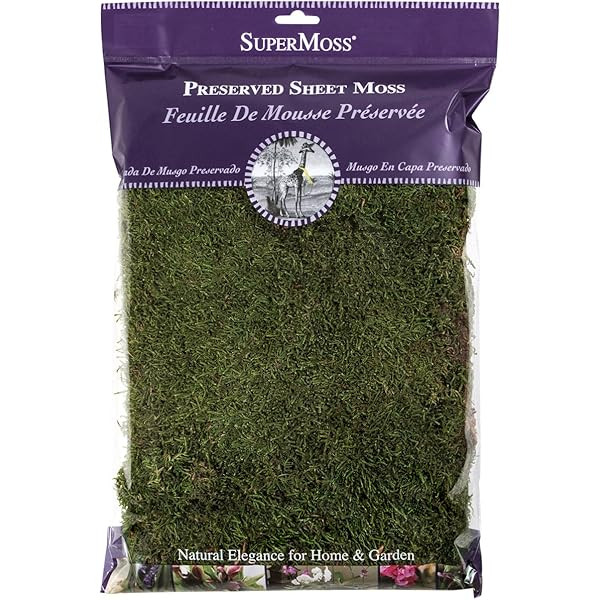 SuperMoss (22420) InstantGreen Moss Mat, Fresh Green, 18 x 16"" | Amazon (US)