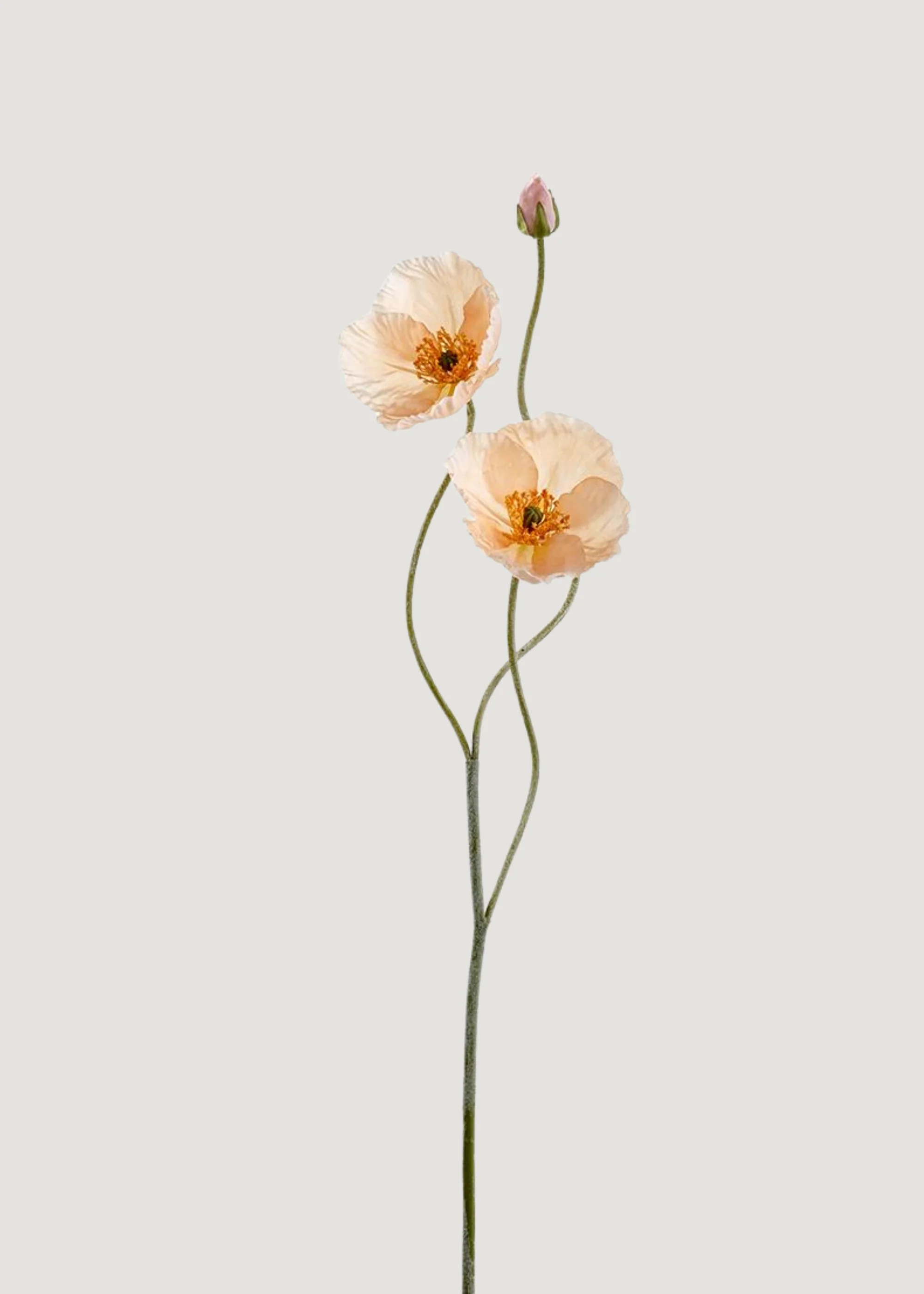 Peach Fake Poppy Stem | Nature-Inspired Artificial Flowers | Afloral | Afloral