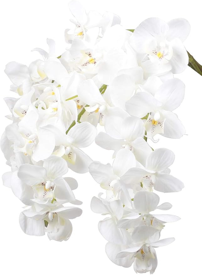 Amazon.com: Ivalue 28" Artificial Orchid Flower Stem Plants Pack of 4 Real Touch White Simulation... | Amazon (US)