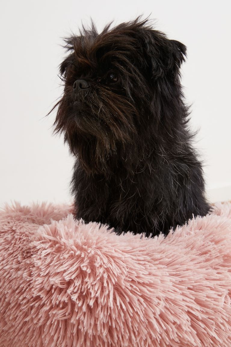 Faux Shearling Dog Bed | H&M (US + CA)