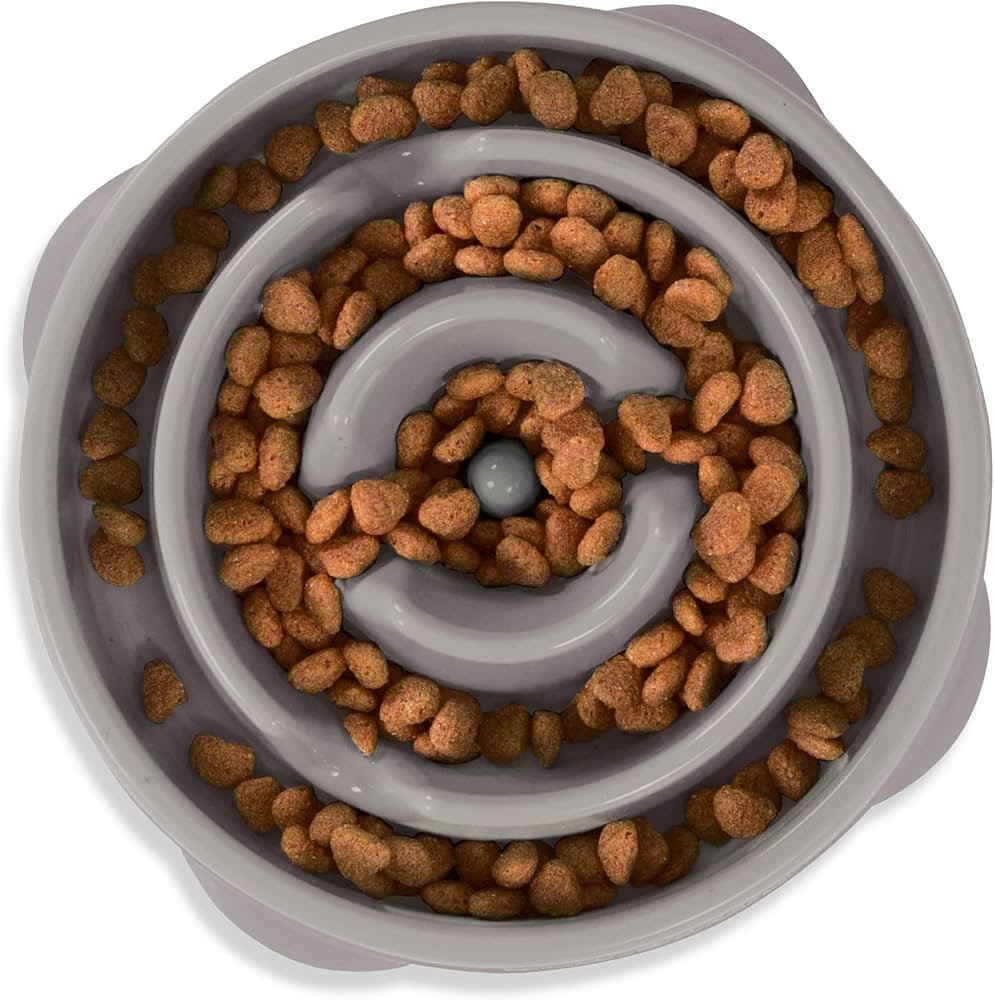 Outward Hound Fun Feeder Slo Bowl, Slow Feeder Dog Bowl, Medium/Mini, Grey | Amazon (US)