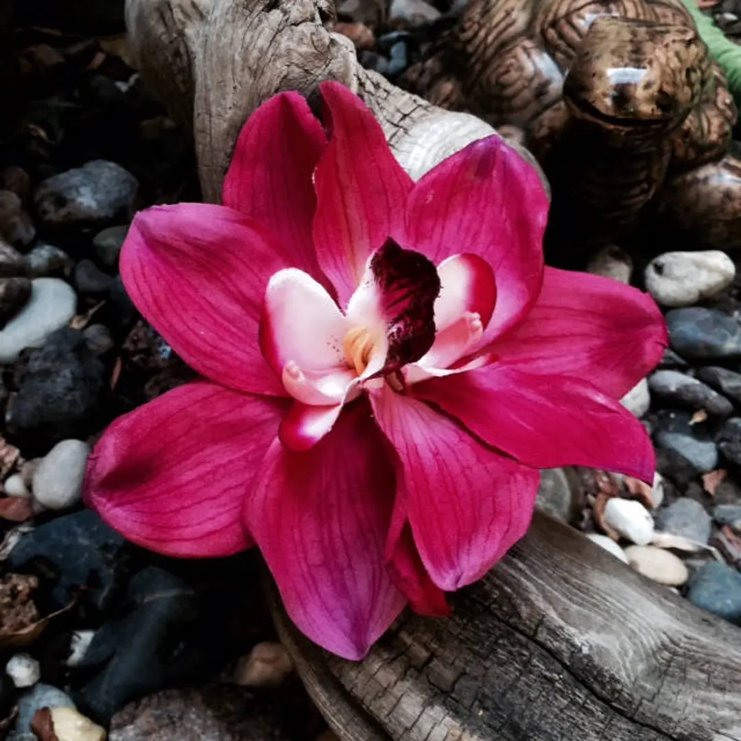 Magenta Double Orchids Tropical Flower Hair clip | Etsy (US)