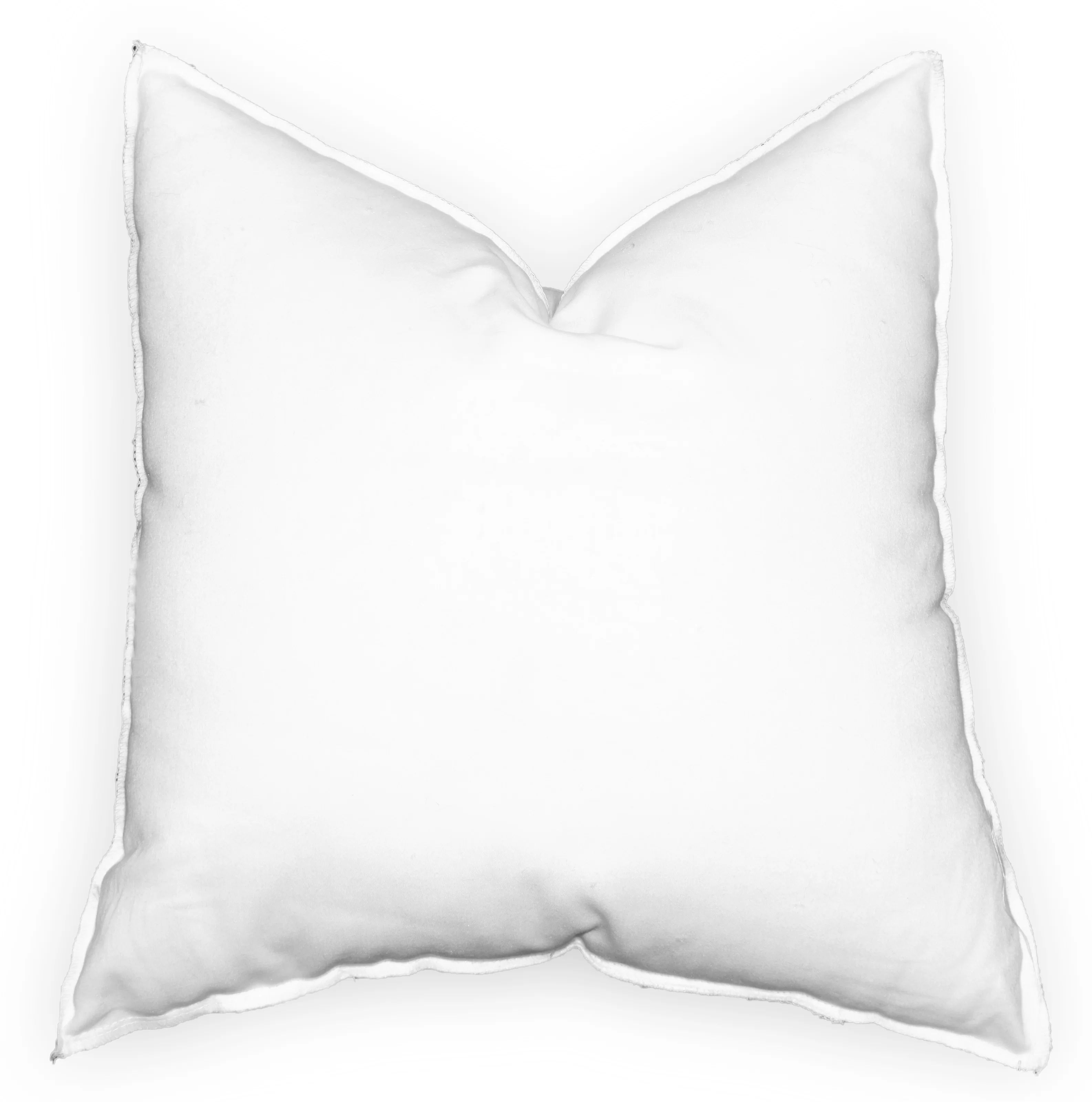 Beckstead Pillow Insert | Wayfair North America