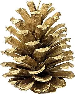Amazon.com: Redolent Home Gold Pine Cones - (10) 2.5" to 4” Tall Bulk Package Premium, Gold Pin... | Amazon (US)