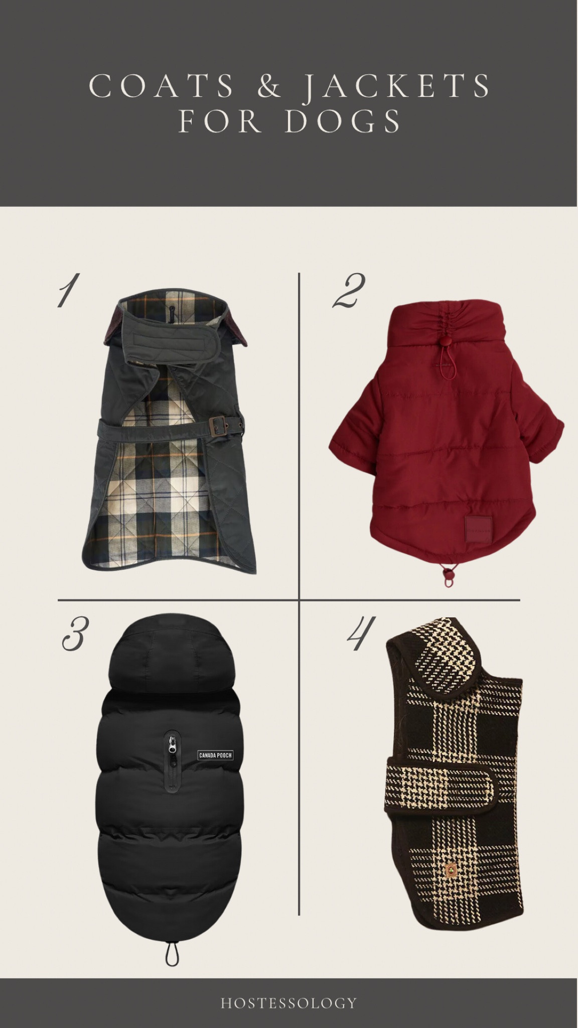 Coats & jackets for dogs ❄️🐾

#LTKSeasonal #LTKGiftGuide