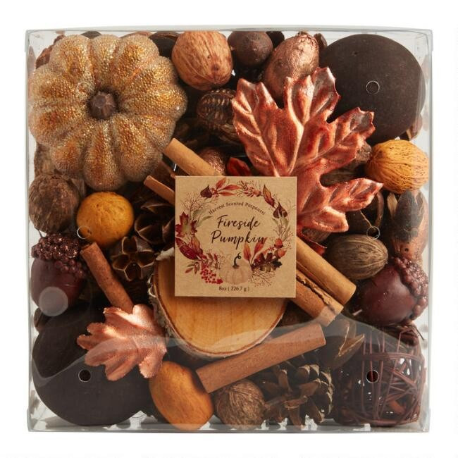 Fireside Pumpkin Potpourri Box | World Market