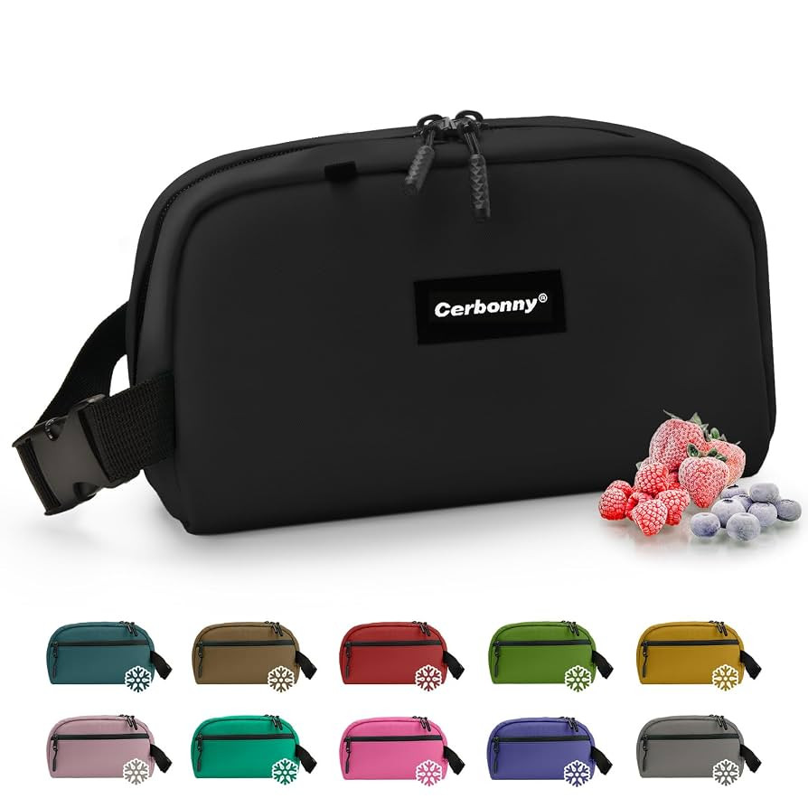CERBONNY Small Cooler Bag Freezable Lunch for Work School Travel,Leak-proof Bag,Small Insulated F... | Amazon (US)