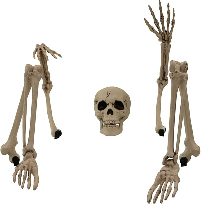 Haunted Hill Farm Ground-Breaking Skeleton Stakes Spooky Halloween Decoration, Includes Skull Hea... | Amazon (US)