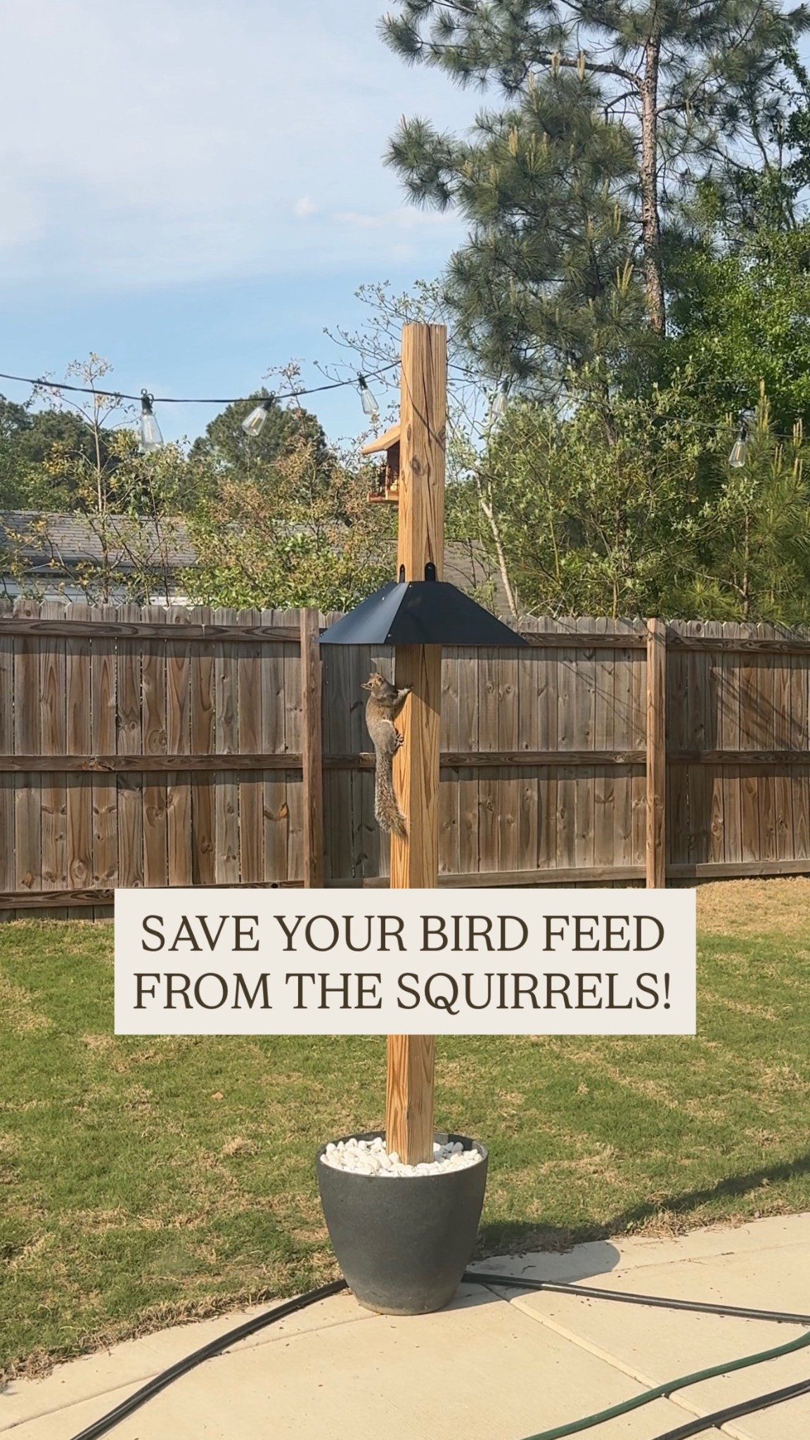I have some fat squirrels now because they were eating all the blocks of bird seed! 

This is a GAME CHANGER. Bamboozled squirrels now because of this. All metal, unable to chew through, comes in many colors, rust and sun-damage free. It’s perfect!

#amazonfind

#LTKSaleAlert