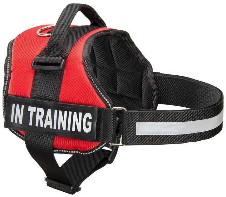 Industrial Puppy In Training Dog Harness, Red | Chewy.com