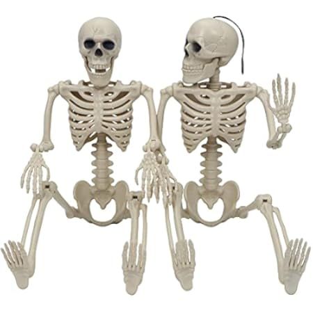 JOYIN 2 Packs 16" Posable Halloween Skeletons | Full Body Posable Joints Skeletons for Halloween Dec | Amazon (US)