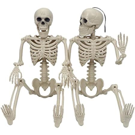 JOYIN 2 Packs 16" Posable Halloween Skeletons | Full Body Posable Joints Skeletons for Halloween Dec | Amazon (US)