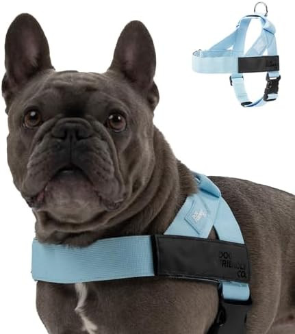 DF Co. Dog Harness | Chafe Resistant Webbing, Adjustable Neck & Chest, and Heavy Duty D-Ring | St... | Amazon (US)