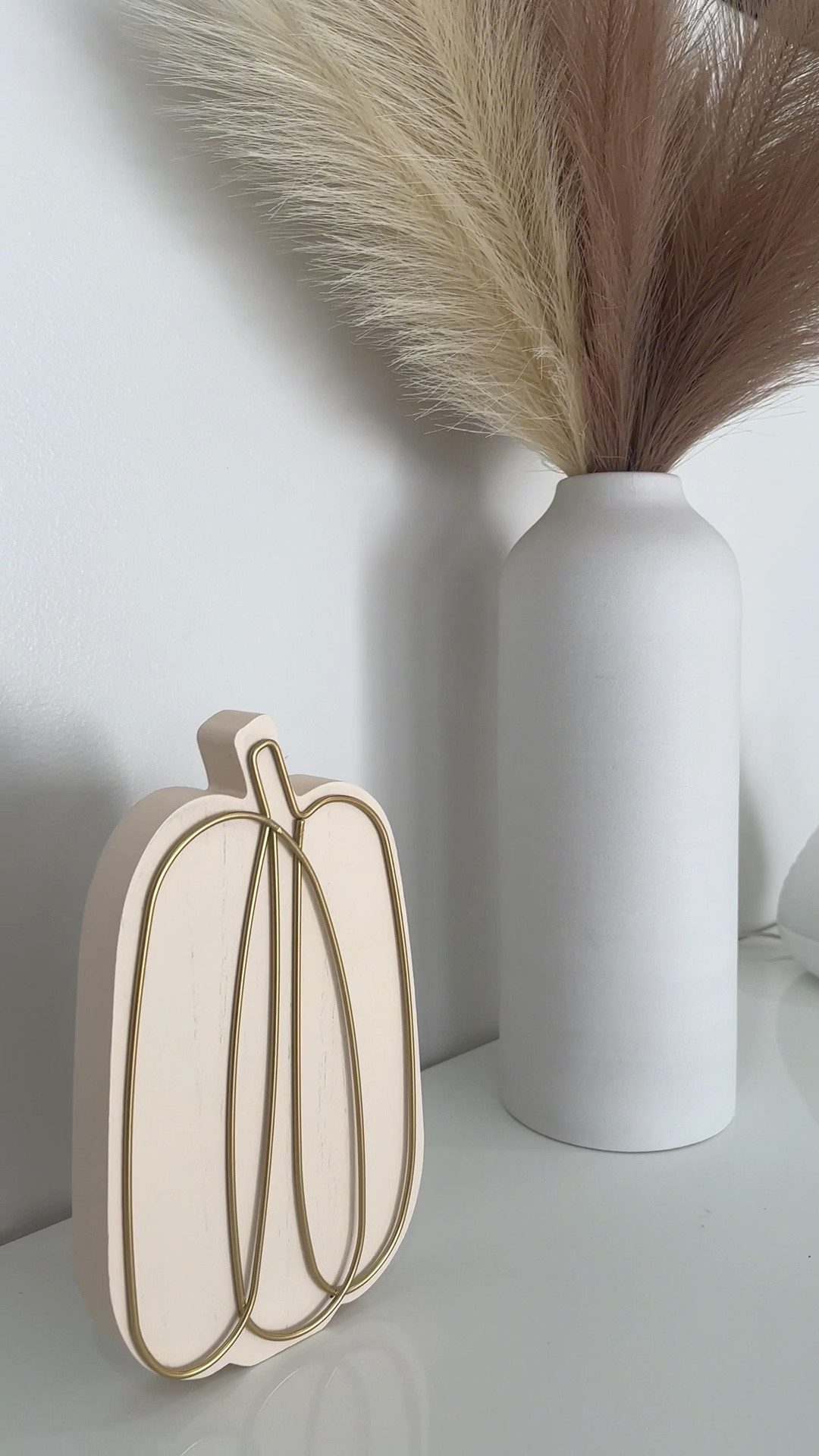 Fall decor 🍂 


#falldecor #walmart #walmartfinds #unboxing #aesthetichomedecor #fallvibes #home #homedecor 

#LTKSeasonal #LTKHome #LTKVideo