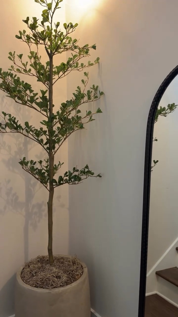 ✨One of my favorite ways to elevate any corner, hallway or room! Type TREE 👇🏻 and I’ll send you all the details to your inbox 📥 

I found this gorgeous faux olive tree and large concrete planter from Amazon! Filled it with packaging and set it on a box so that the tree is taller for this hallway (a must for tall ceilings). 

It instantly elevated and made this stairwell landing cozy! 

As an #amazonpartner I may earn commission when shopping through my links 

#amazonhomefinds #founditonamazon #cozycorner #fauxolivetree