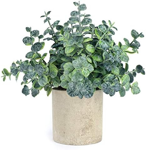 iflove Small Fake Plastic Plant Artificial Eucalyptus Potted Plant Look Real Greenery Decor Home ... | Amazon (US)