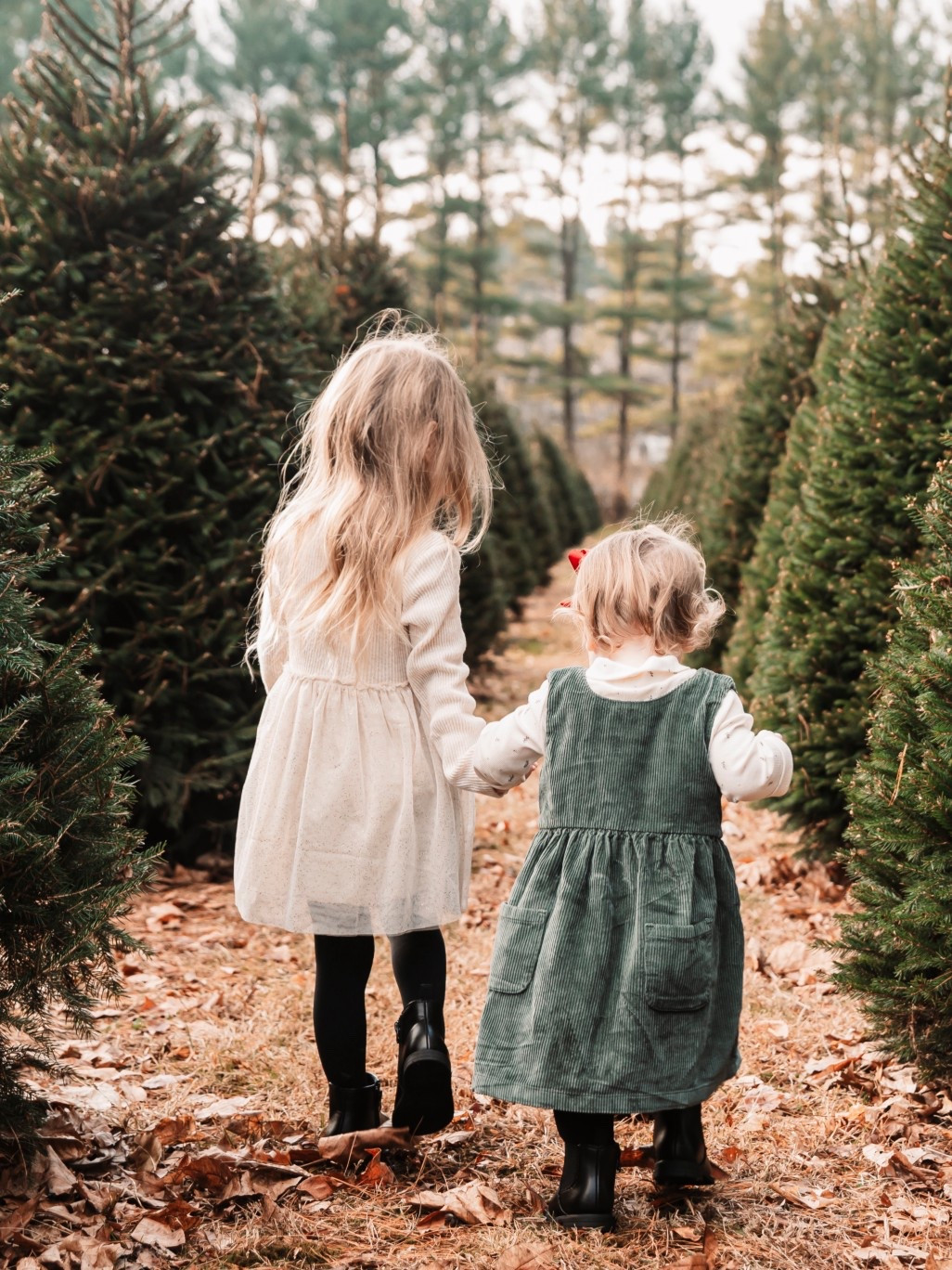 Christmas outfits for toddler girls ❤️

Holiday outfits | baby girl | toddler girl | clearance | best girl bows | Christmas photo inspo |



#LTKFindsUnder50 #LTKKids #LTKHoliday