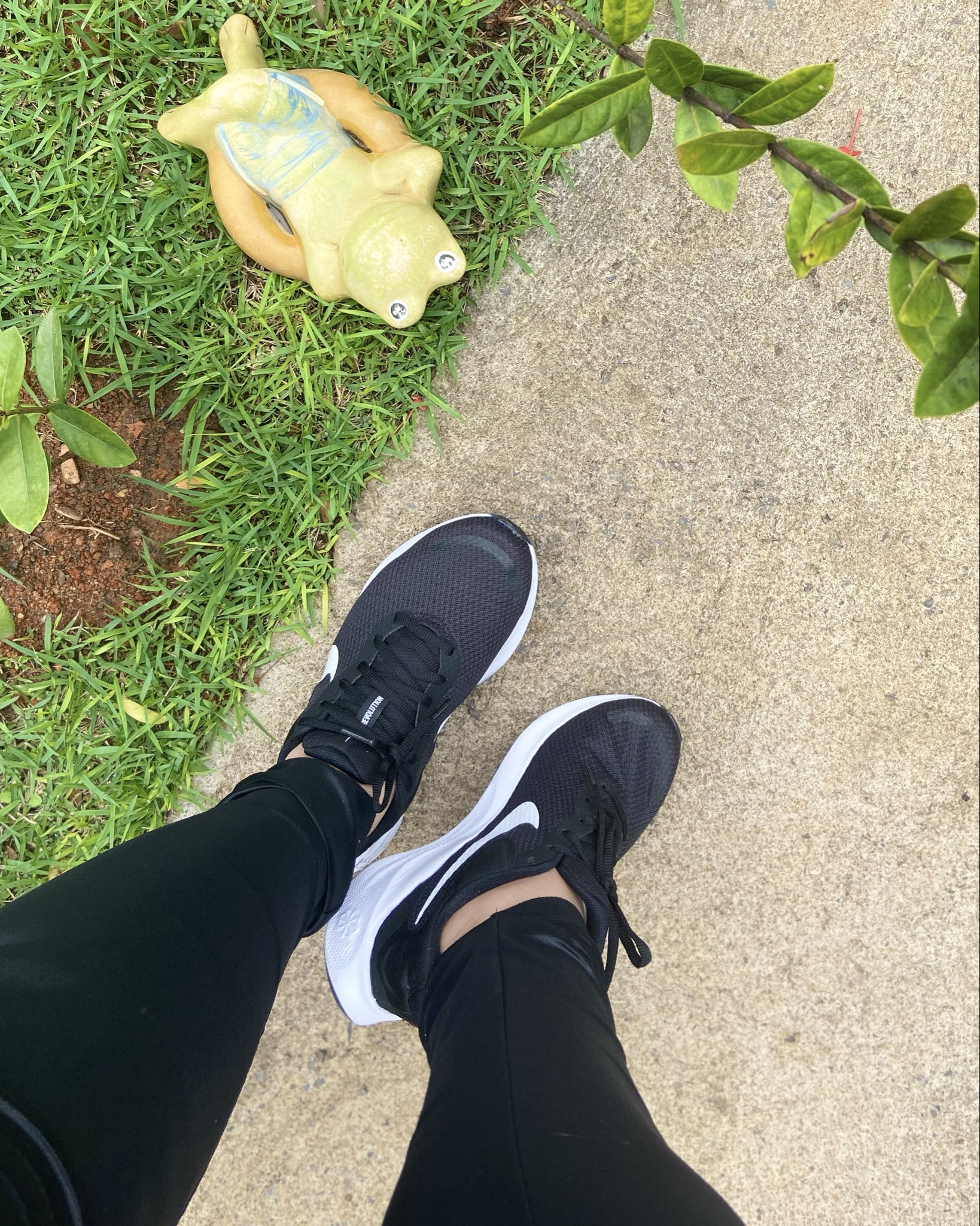 👟 NIKE

Se você busca um tênis versátil que oferece desempenho superior tanto para corrida quanto para caminhada, o Tênis Nike Revolution 7 é a escolha perfeita.

O Tênis Nike Revolution 7 é ideal para corridas, caminhadas, treinamento na academia e para o seu estilo de vida ativo. Ele se adapta a diversas atividades com facilidade.


#LTKguiadepresente #LTKbrasil #LTKfitness