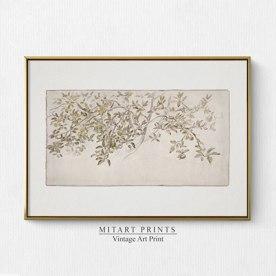 Vintage Apple Tree Sketch Antique Tree Etching Antique - Etsy | Etsy (US)