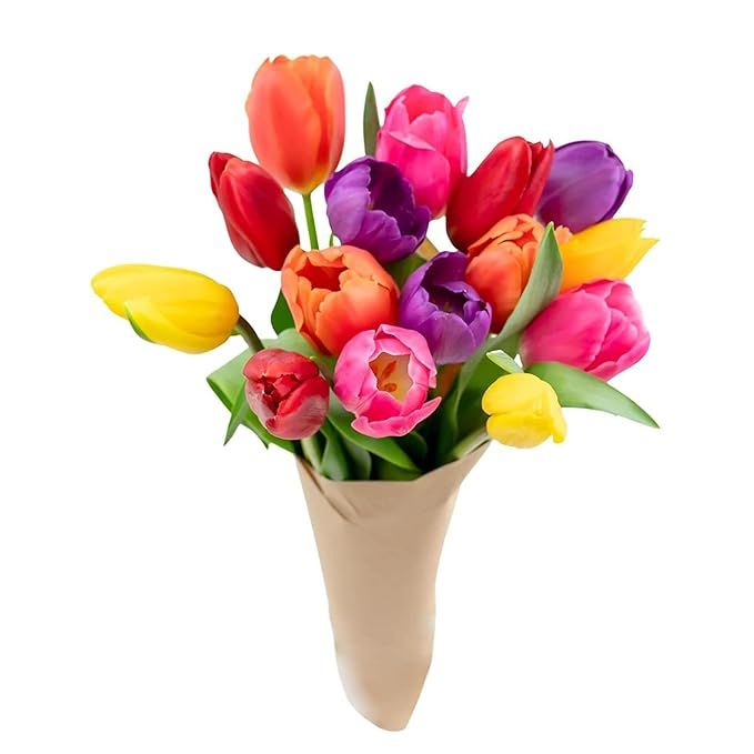 Stargazer Barn - Prime Overnight Delivery - The Happy Bouquet- Farm Fresh Colorful Tulips - Ship ... | Amazon (US)