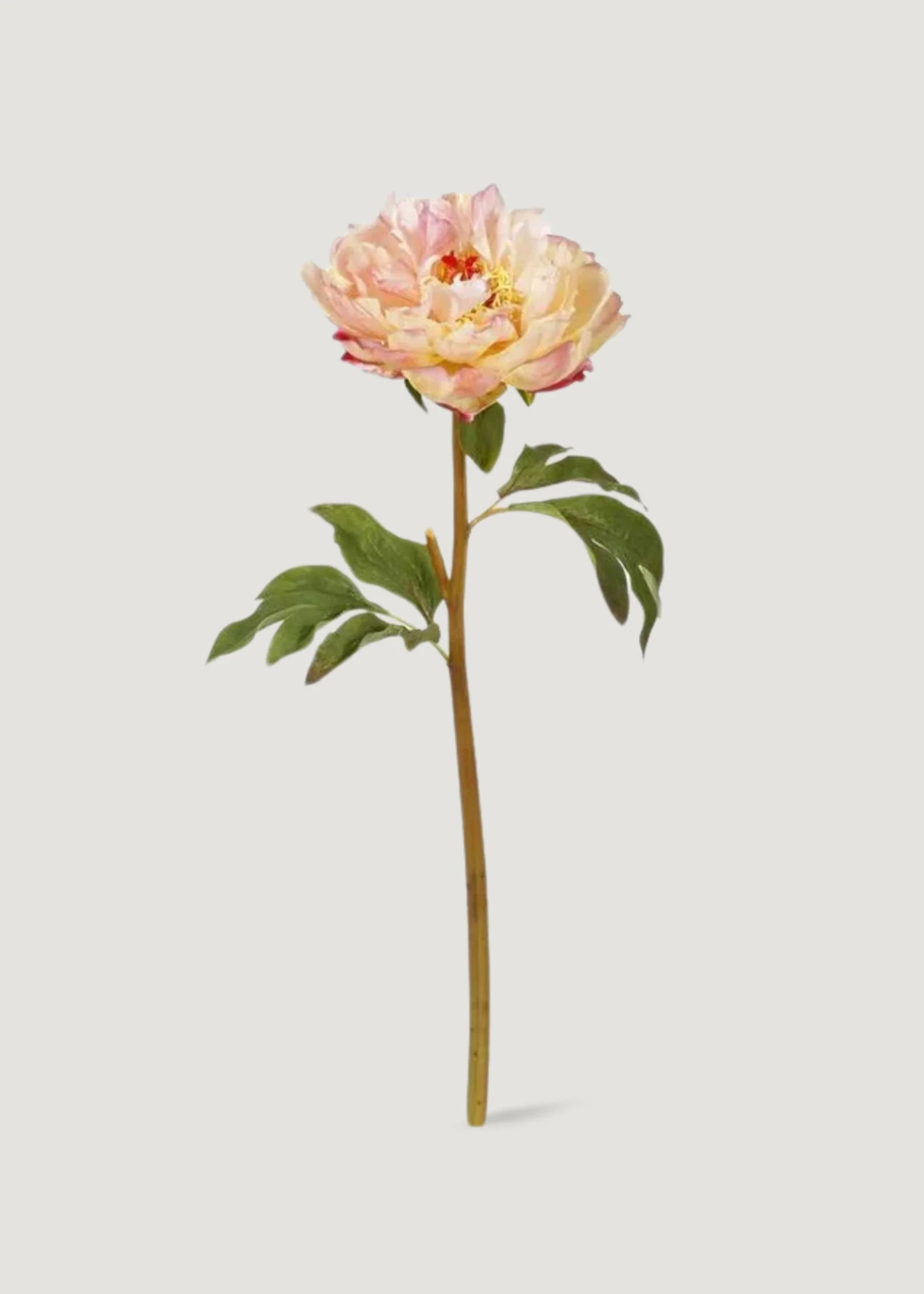 Faux Peony Stem in Peach Pink | Best Artificial Flowers | Afloral | Afloral