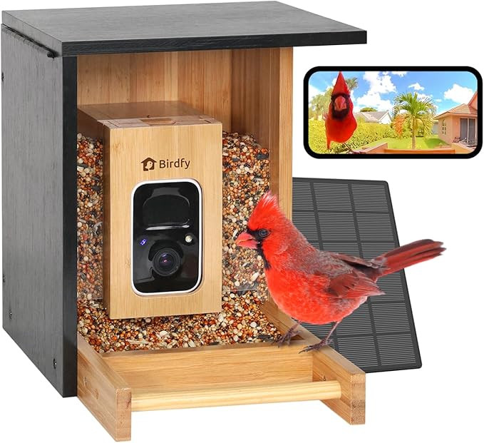 Birdfy Smart Bird Feeder with Camera, High-End Bamboo, Solar Powered, 2K HD Live Stream, Auto Cap... | Amazon (US)