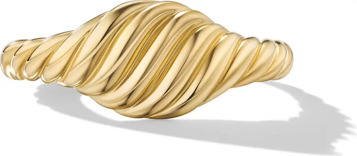 Sculpted Cable Pinky Ring in 18K Yellow Gold | Nordstrom