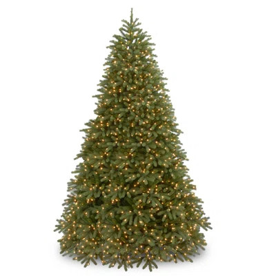 Jersey Fraser 7.5' Green Fir Artificial Christmas Tree with 1000 Warm White LED Lights Includes Stand | Wayfair North America