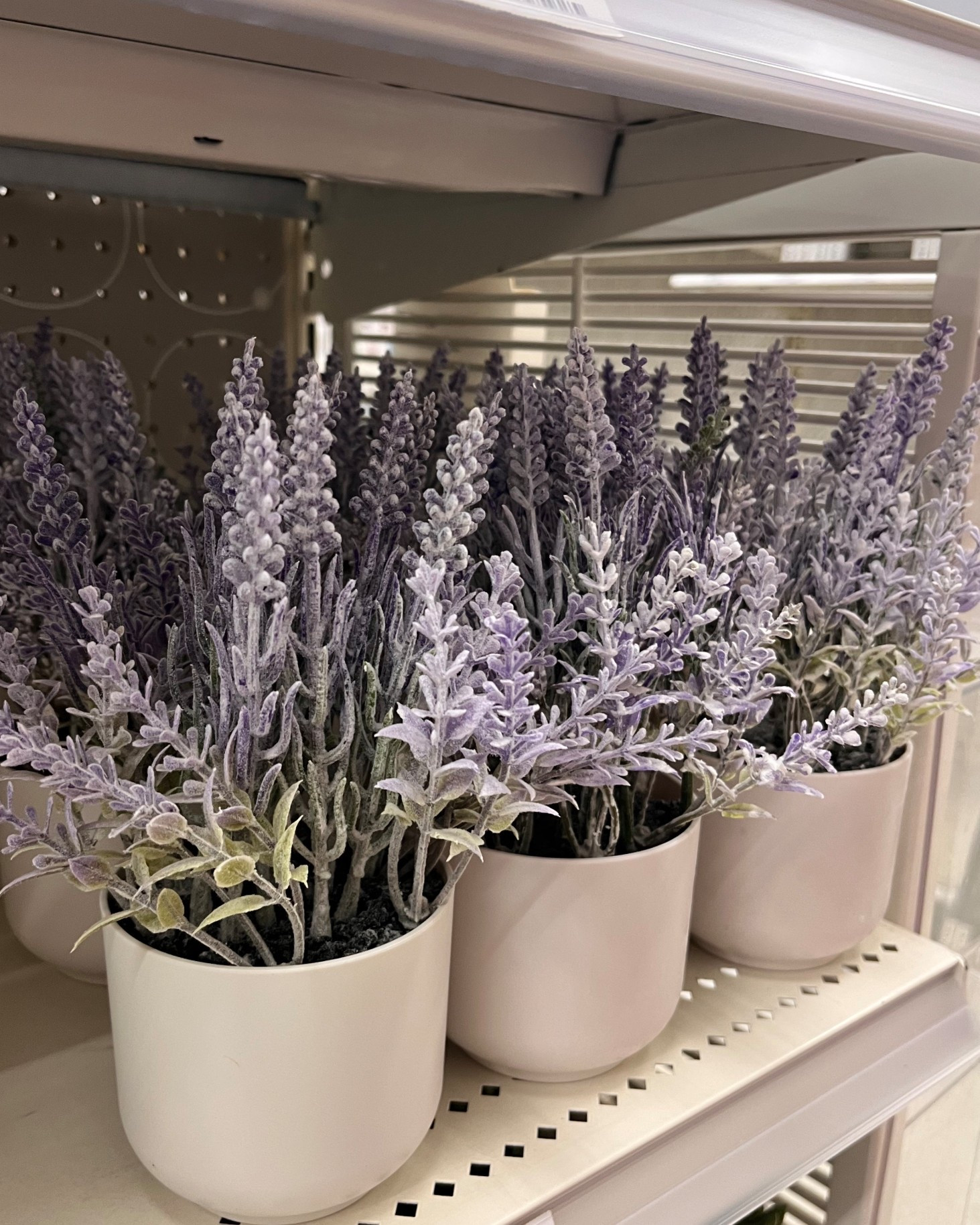 So many faux plants to choose from 🌻🪴🌱🌿

#LTKHome #LTKFindsUnder50