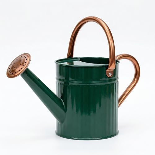 Bamworld Watering Can Indoor Stainless Steel Watering Can Indoor Outdoor Long Spout Water Can for... | Amazon (CA)
