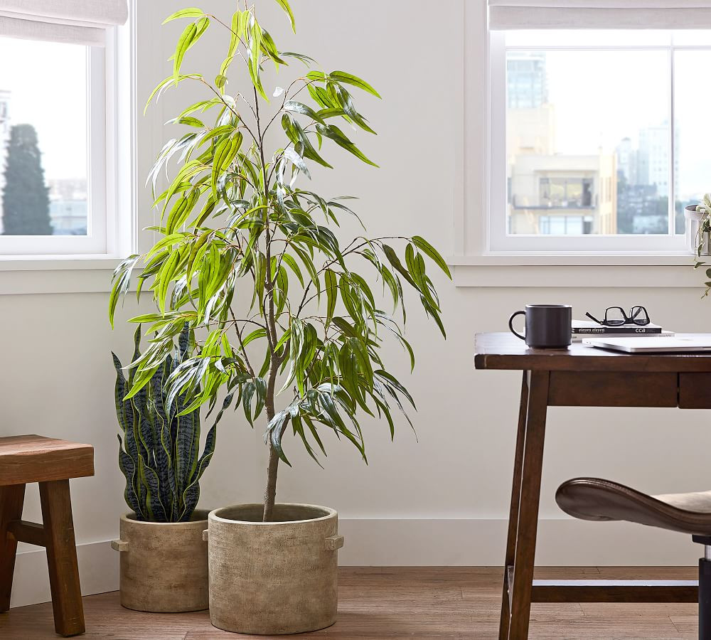 Faux Potted Eucalyptus Tree | Pottery Barn (US)