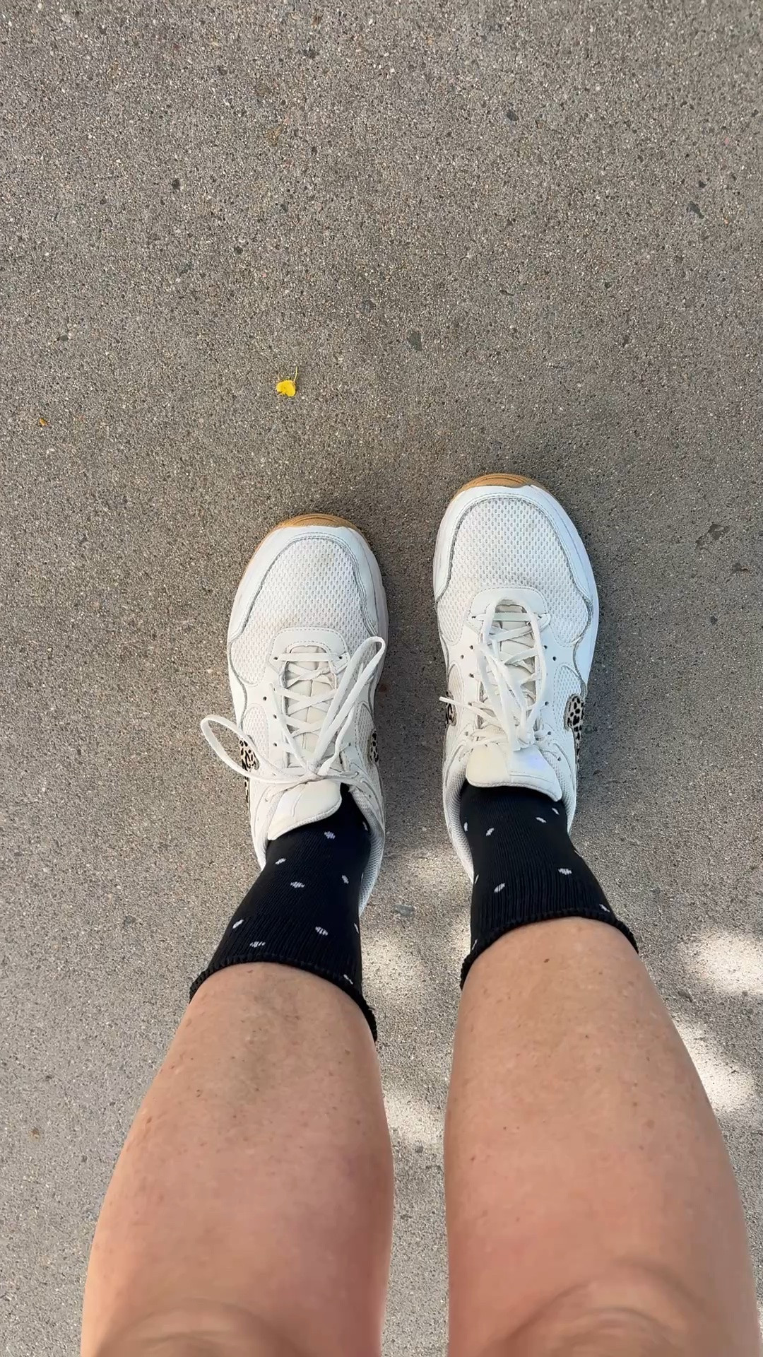 Polka dot socks to spice up my workout outfit! These are also my go to Nikes!

Polka dot socks. Workout Socks. Nikes. Leopard Nikes

#LTKgrwm #LTKActive #LTKfitnessgoals