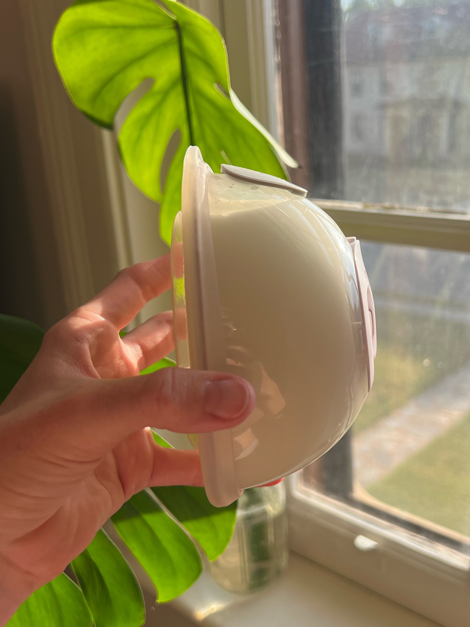 The momcozy v1 pro is probably my favorite portable pump with tubes! This pump has a rechargeable battery so you don’t need to be attached to the wall. The motor isn’t sitting on top of the pump which makes a portable pump last much longer! The collection cups are also so comfortable and you can attach them to almost any wall pump! It’s also on sale right now! You can use code GRACE12P for extra $$ off!🩵🍼 #momcozy #breastpump #collectioncups #pumpingmom 