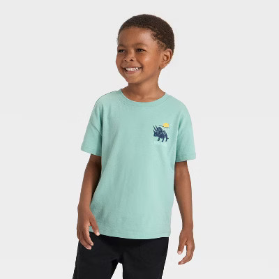 Toddler Boys' Short Sleeve Oversized T-Shirt - Cat & Jack™ Ocean Green 2T | Target