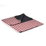 ONIVA - a Picnic Time Brand Outdoor Picnic Blanket Tote, Red Check with Gray | Amazon (US)
