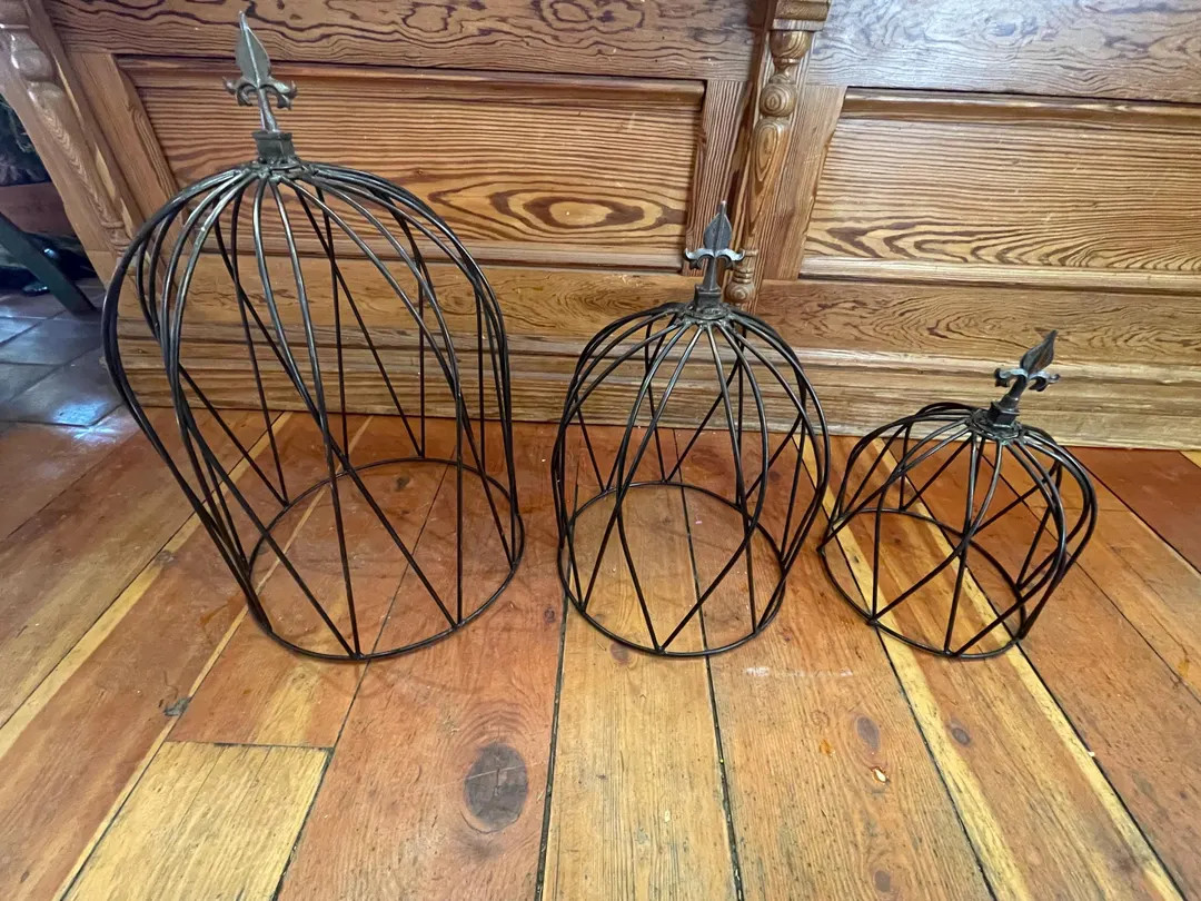 Set of 3 Sizes Handmade Shaped & Welded Metal Scrolling Style Plant Cloches/Topiaries in Natural ... | Etsy (US)