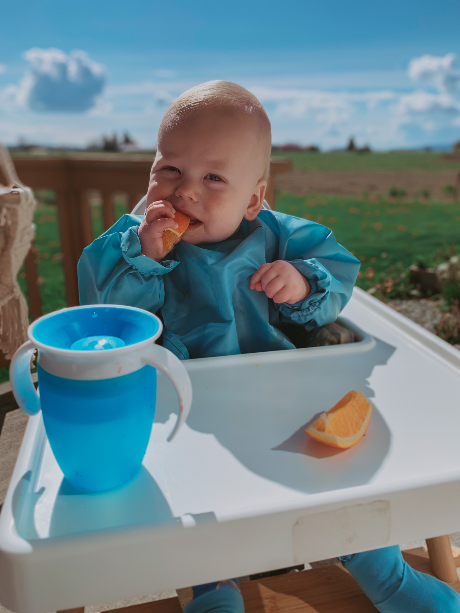 Baby Led Weaning Long Sleeve Bib!

#LTKbaby #LTKkids