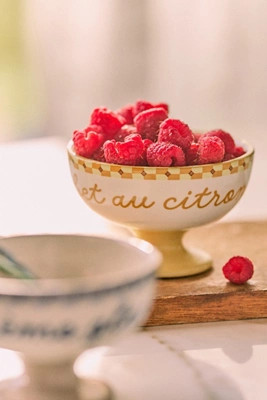 Café Violette Handpainted Stoneware Ice Cream Bowl | Anthropologie (US)