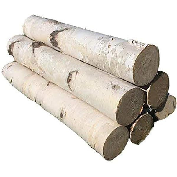 Fireplace Set of White Birch Logs | Amazon (US)