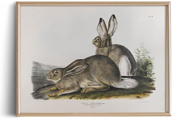 Vintage Rabbit Wall Arts - Spring Easter Bunny Poster Print - Ornament Craft Gift for Women - Mod... | Amazon (US)