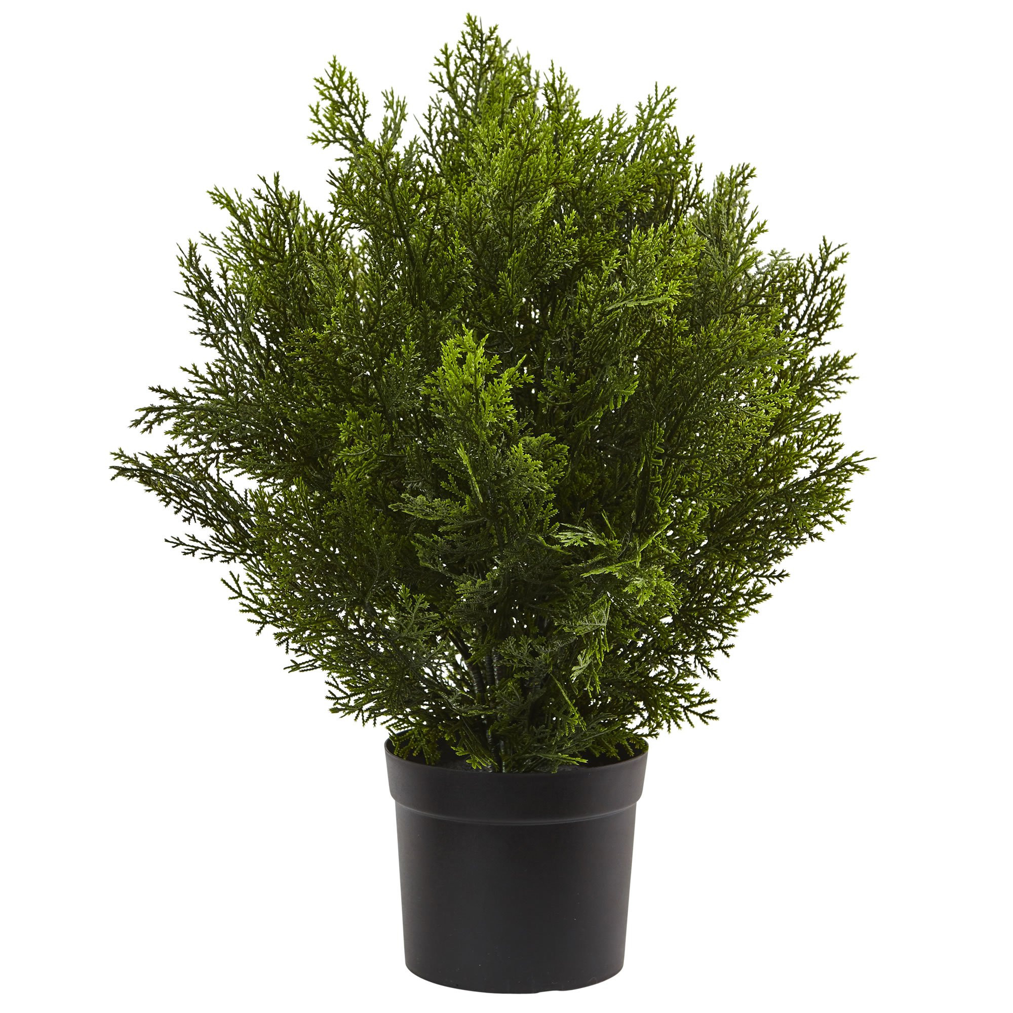 Nearly Natural 2ft. Cedar Artificial Bush (Indoor/Outdoor) | Amazon (US)
