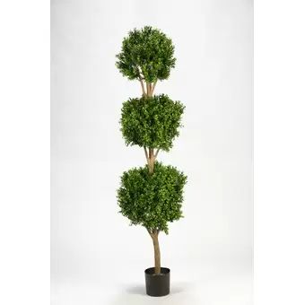 Triple Ball Boxwood Topiary in Planter | Wayfair North America