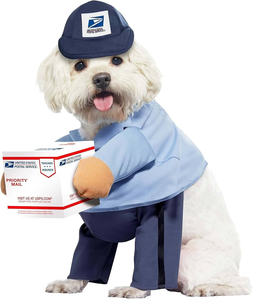 California Costumes Dog Mail Carrier Costume USPS, Large | Amazon (US)