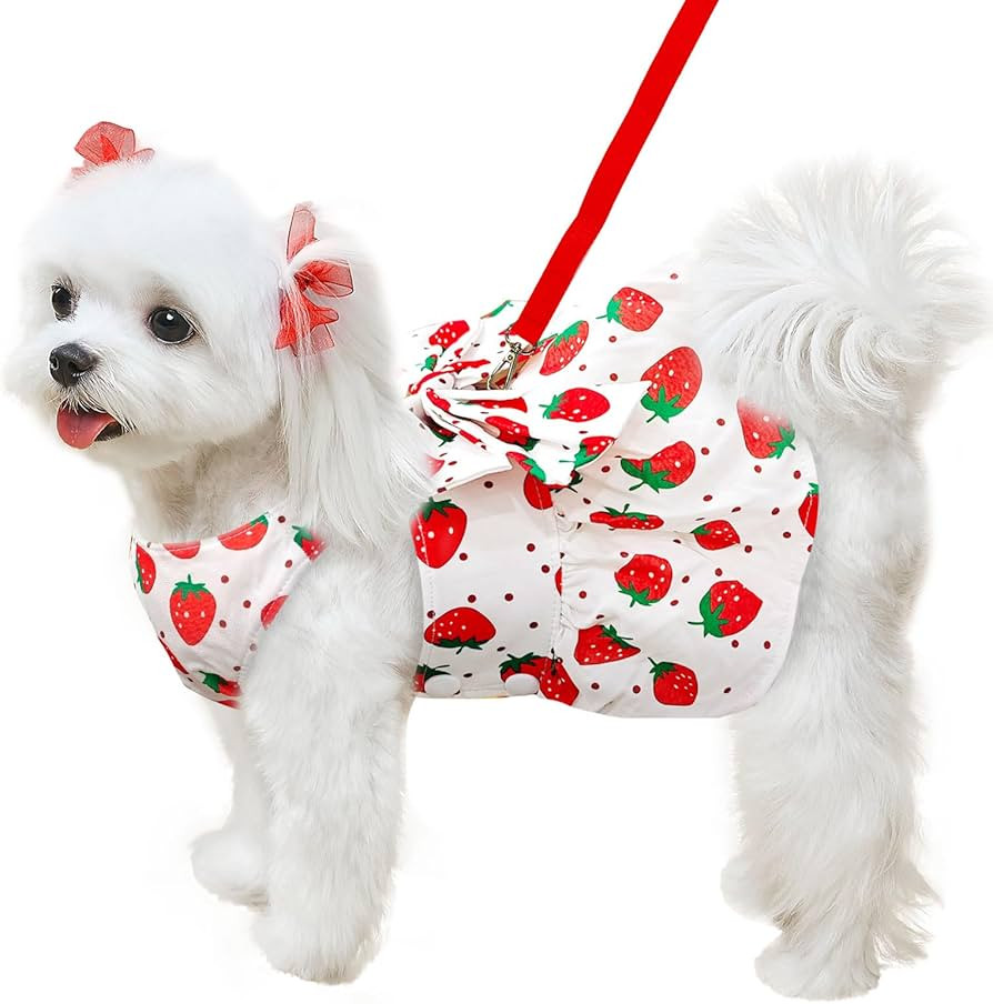 Cute Dog Dress Small Dog Clothes For Girls Female Puppy Outfit Red Strawberry Pet Summer Clothes ... | Amazon (US)