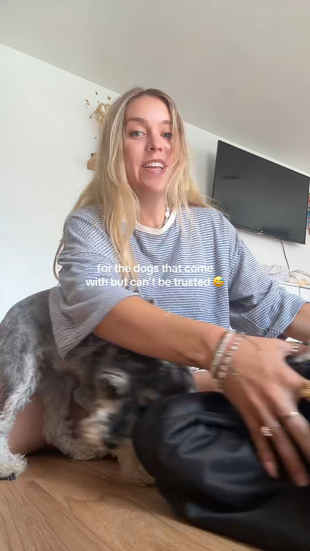 For the mommas traveling with dogs!

#LTKmomlife #LTKTravel #LTKvlog