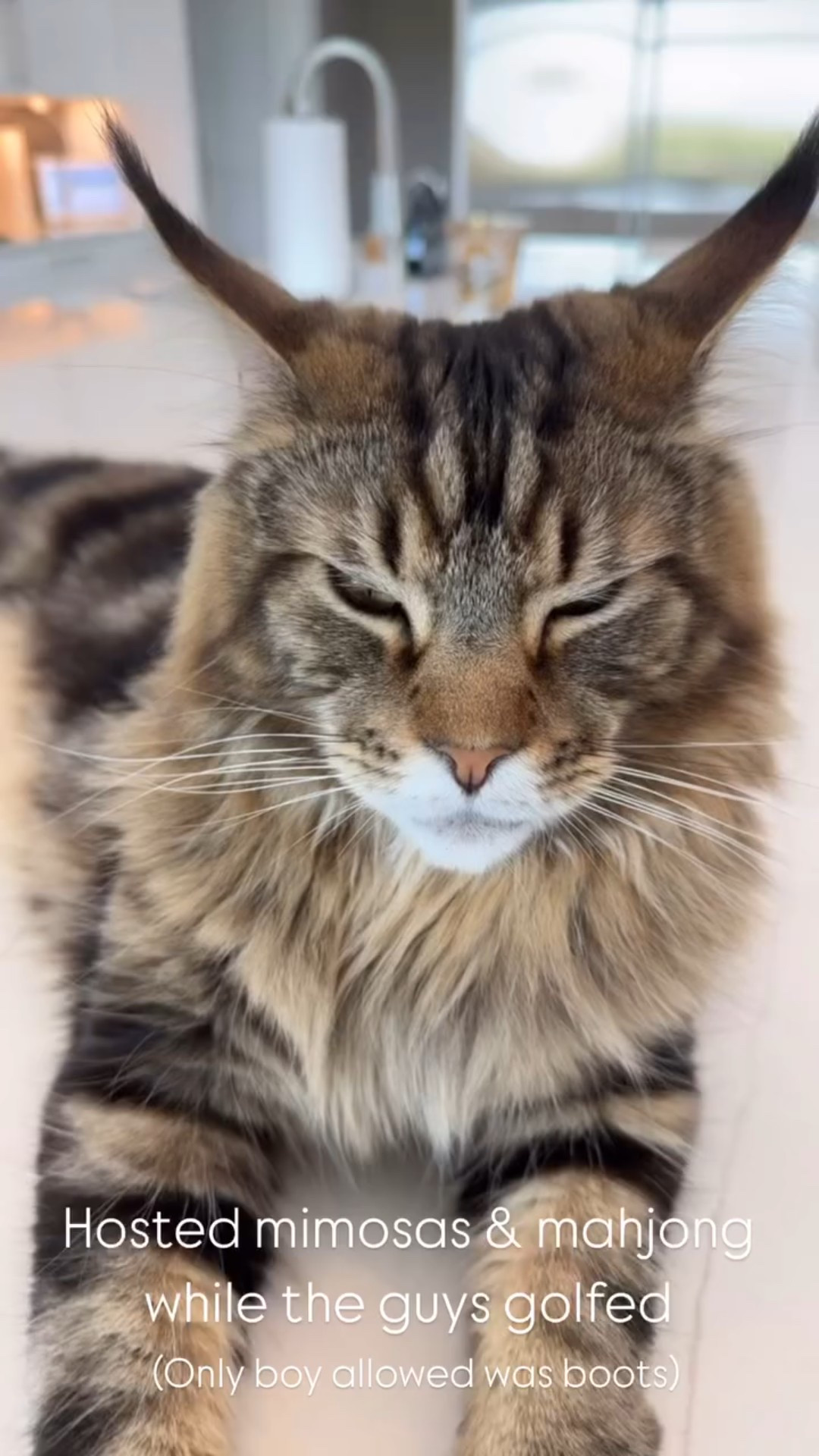 Hosted mimosas and mahjong! 🥂 